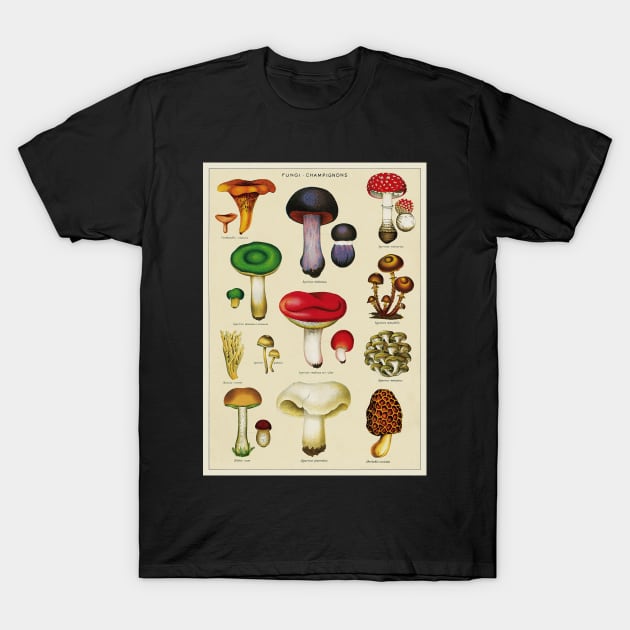 Vintage Fungi Chart T-Shirt by wildtribe